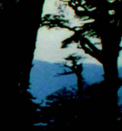 Bewitched (CHL) : Demo 2004